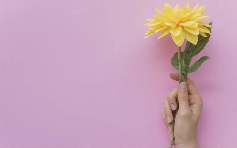 Mitos del suicidio: lo que necesitas saber